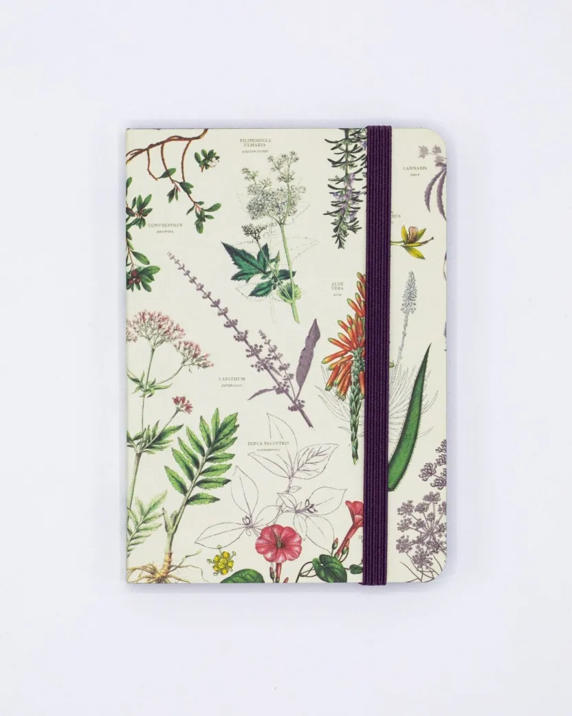 Cognitive Surplus Medicinal Botany Observation Softcover* The Observation | Medicine