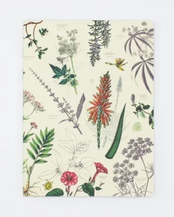 Cognitive Surplus Medicinal Botany Softcover Notebook - Dot Grid* The Experiment | Pharmacy