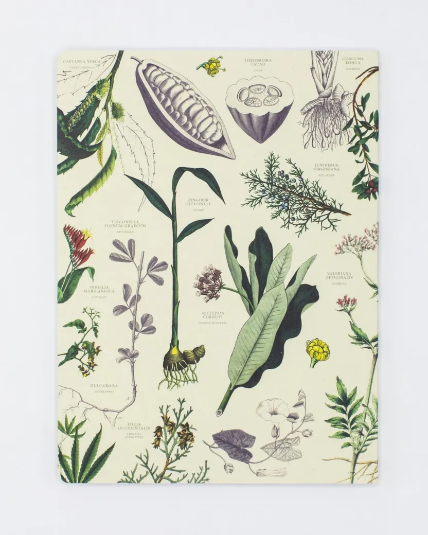 Cognitive Surplus Medicinal Botany Softcover Notebook - Dot Grid* The Experiment | Pharmacy