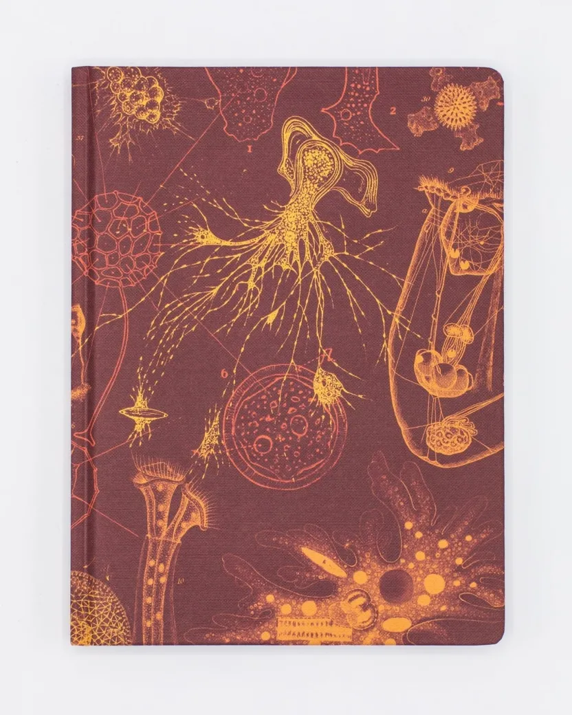 Cognitive Surplus Microbiology Hardcover Journal | Microbiologist* The Hypothesis | Microbiology