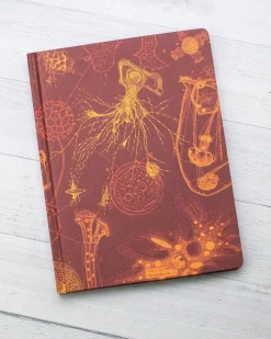 Cognitive Surplus Microbiology Hardcover Journal | Microbiologist* The Hypothesis | Microbiology