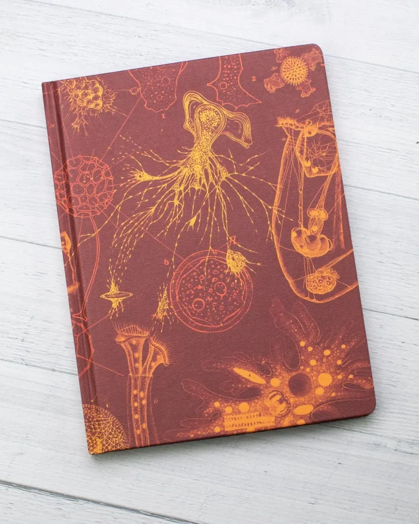 Cognitive Surplus Microbiology Hardcover Journal | Microbiologist* The Hypothesis | Microbiology