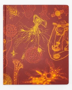 Cognitive Surplus Microbiology Lab Notebook* The Laboratory | Microbiology
