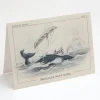 Cognitive Surplus Mistakes Were Made Apology Card - I'm Sorry Card | * Greeting Cards | Biology