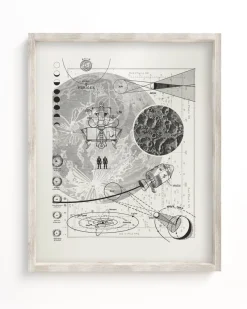 Cognitive Surplus Moon Scientific Illustration Museum Print* Wall Art | Geology + Earth Science