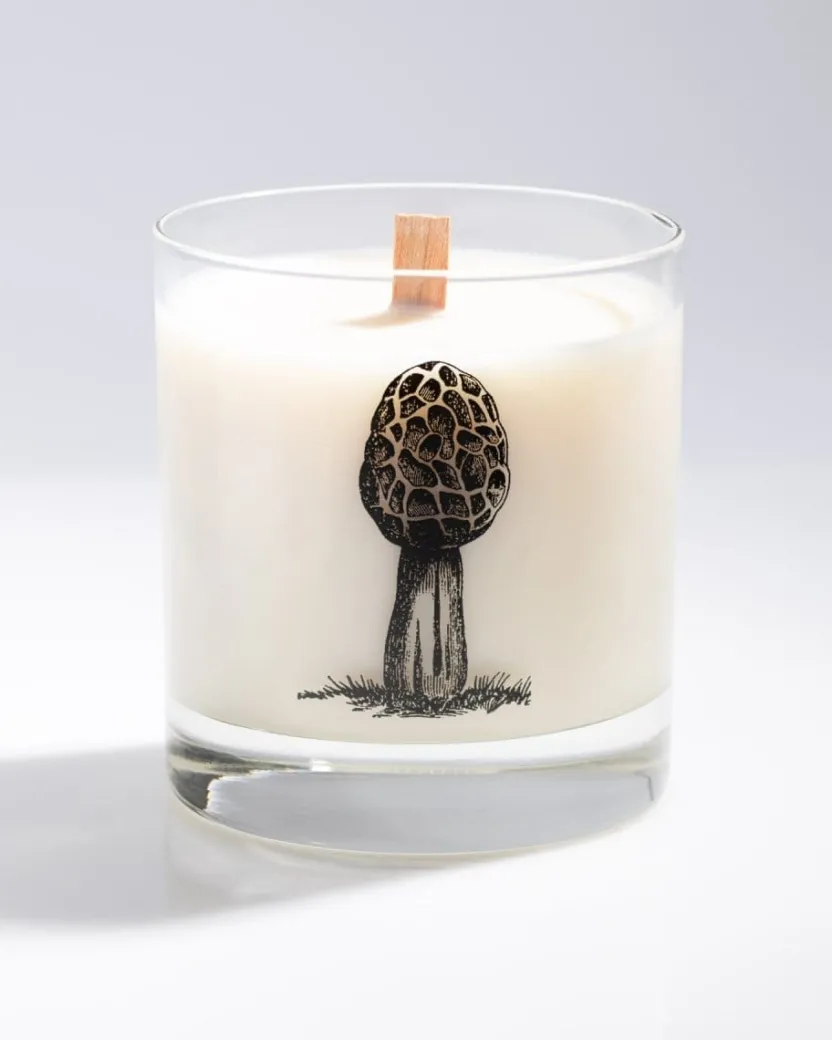 Cognitive Surplus Morel Mushroom Cocktail Candle* Candles | Botany