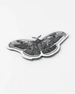 Cognitive Surplus Moth Magnet* Magnets | Entomology