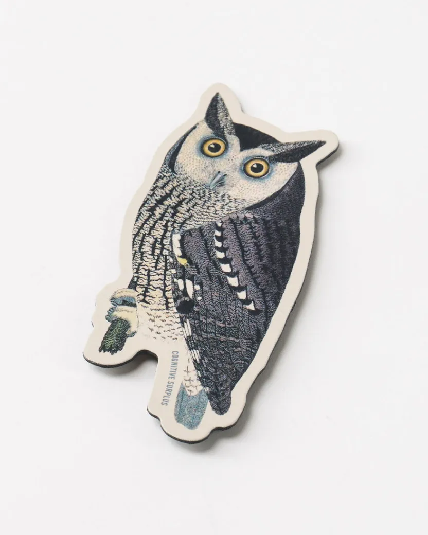 Cognitive Surplus Mottled Owl Magnet* Magnets | Ornithology