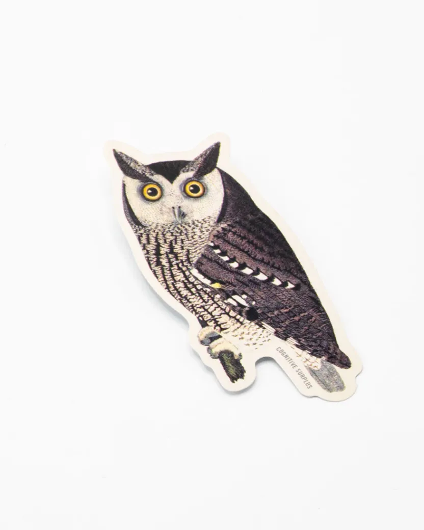 Cognitive Surplus Mottled Owl Sticker* Stickers | Ornithology