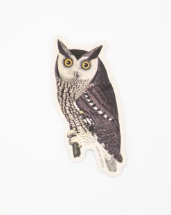 Cognitive Surplus Mottled Owl Sticker* Stickers | Ornithology