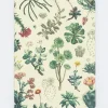 Cognitive Surplus Mushroom Notebook - Softcover | Hiking Journal* The Experiment | Botany