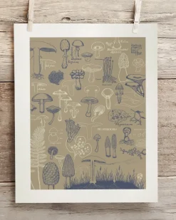 Cognitive Surplus Mushrooms Scientific Illustration Museum Print* Wall Art | Kitchen Science
