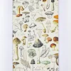Cognitive Surplus Mushrooms Yearly Planner* The Syllabus | Kitchen Science