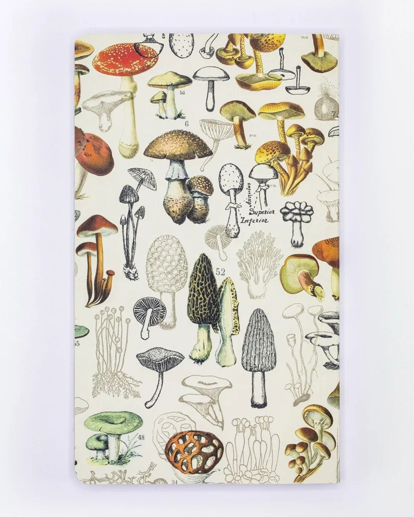 Cognitive Surplus Mushrooms Yearly Planner* The Syllabus | Kitchen Science