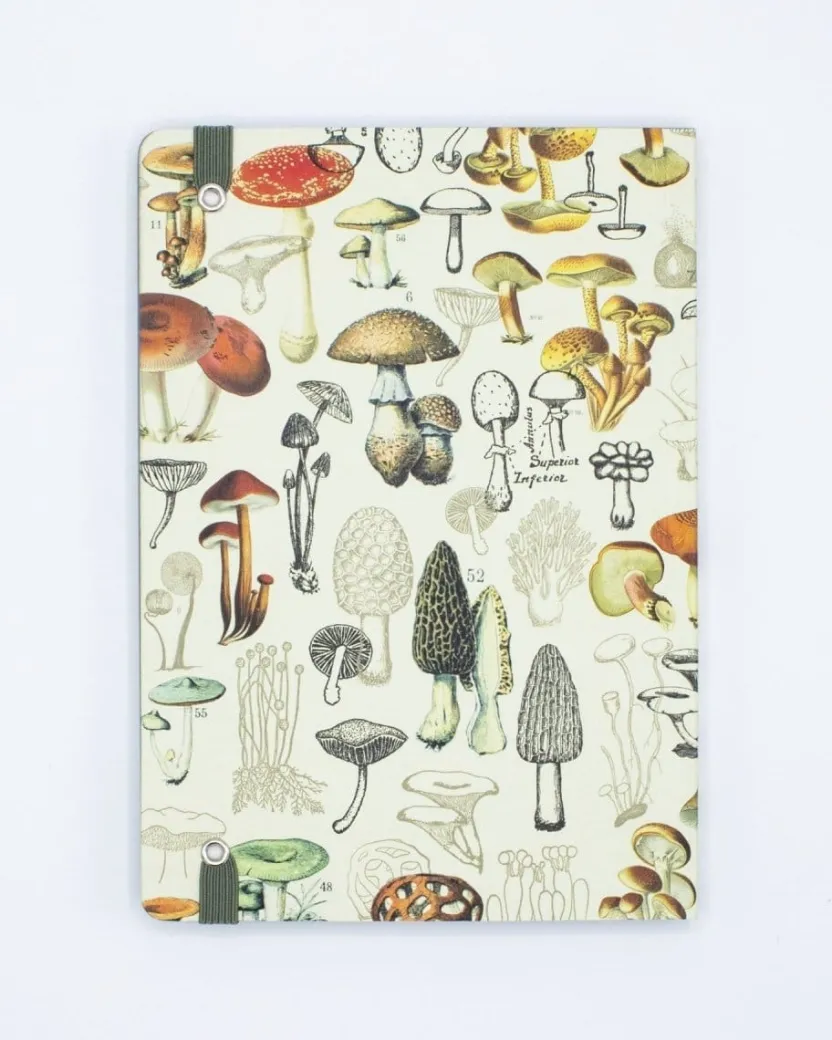 Cognitive Surplus Mycology - Woodland Mushroom A5 Notebook | * The Analysis | Kitchen Science