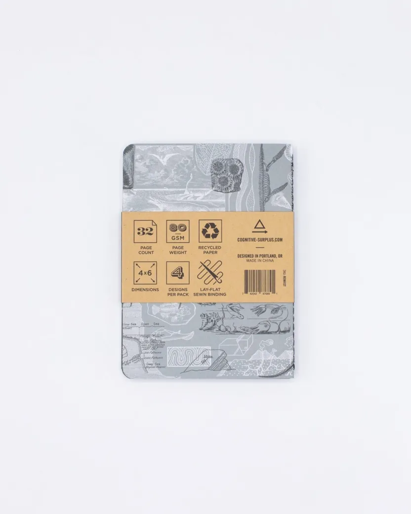 Cognitive Surplus Natural History Pocket Notebooks Set of 4 | Geology Gift* The Research | Physics