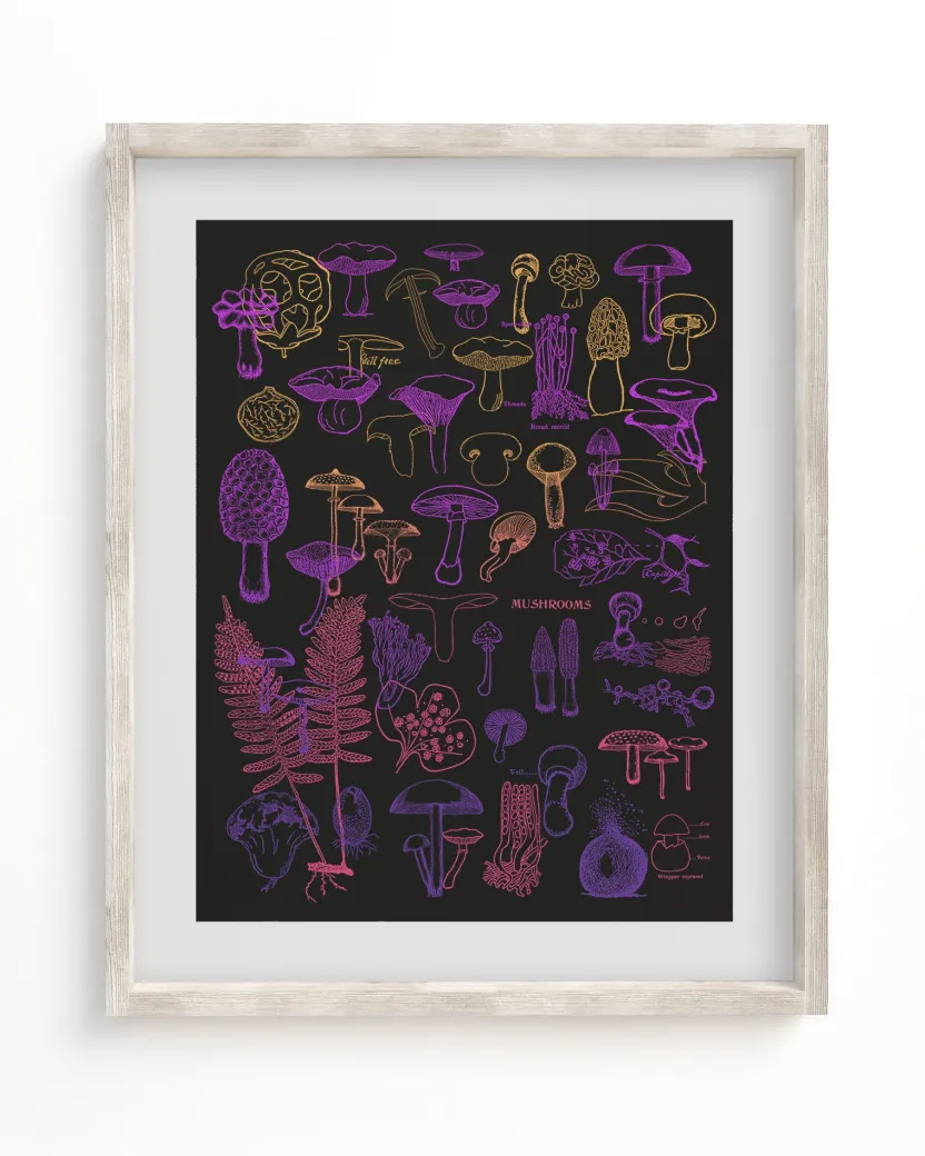 Cognitive Surplus Neon Fungi Scientific Illustration Museum Print* Wall Art | Kitchen Science
