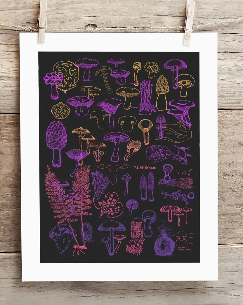 Cognitive Surplus Neon Fungi Scientific Illustration Museum Print* Wall Art | Kitchen Science