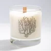 Cognitive Surplus Nerve Cluster Cocktail Candle* Candles | Biology