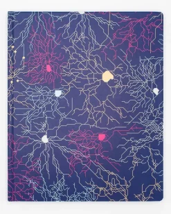 Cognitive Surplus Neural Circuit Lab Notebook* The Laboratory | Psychology