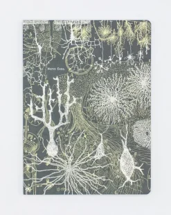 Cognitive Surplus Neuron Softcover Notebook | Brain Notebook* The Experiment | Psychology