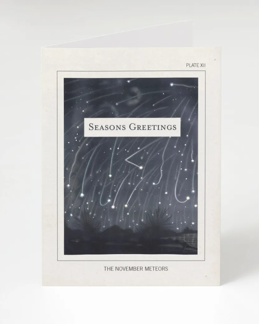 Cognitive Surplus November Meteors - Science Holiday Card | * Greeting Cards | Astronomy