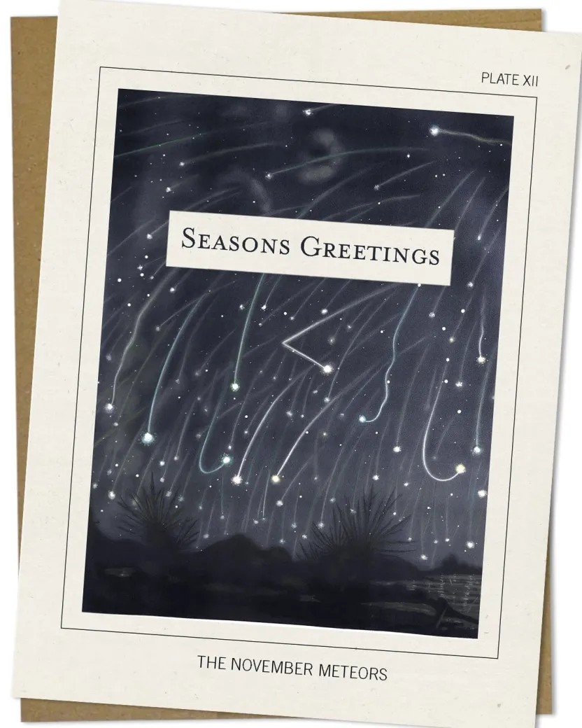 Cognitive Surplus November Meteors - Science Holiday Card | * Greeting Cards | Astronomy