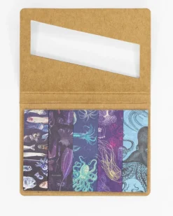 Cognitive Surplus Ocean Deep Page Flags* Page Flags | Marine Biology