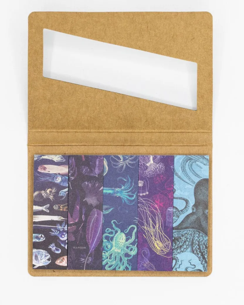 Cognitive Surplus Ocean Deep Page Flags* Page Flags | Marine Biology