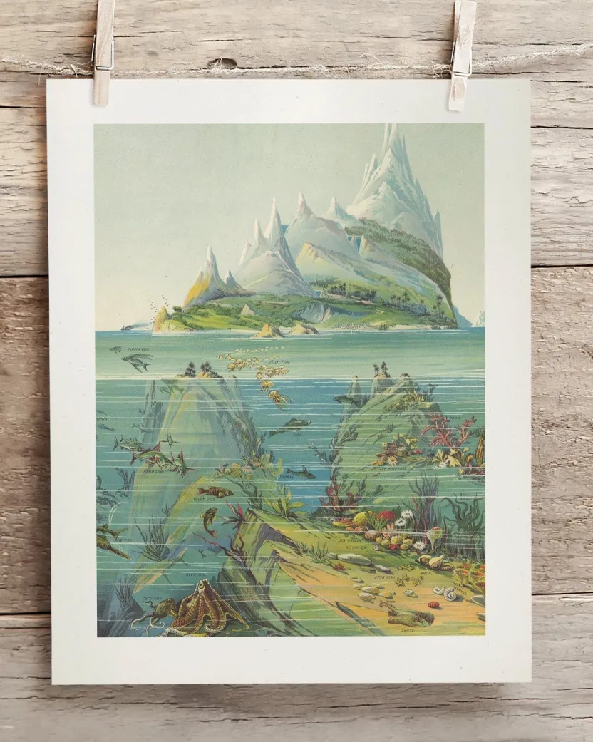 Cognitive Surplus Ocean Regions Scientific Illustration Museum Print* Wall Art | Geology + Earth Science