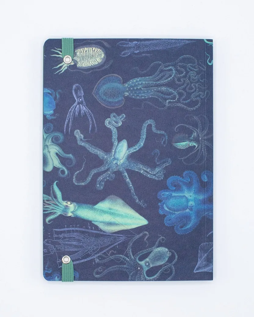 Cognitive Surplus Octopus A5 Notebook - Kraken Journal- Dotted Lines | * The Analysis | Marine Biology
