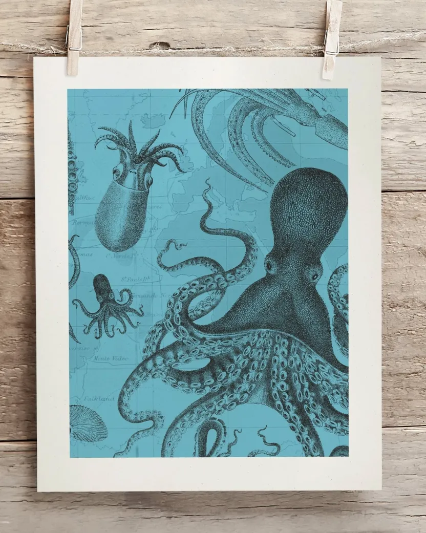 Cognitive Surplus Octopus & Squid Scientific Illustration Museum Print* Wall Art | Marine Biology