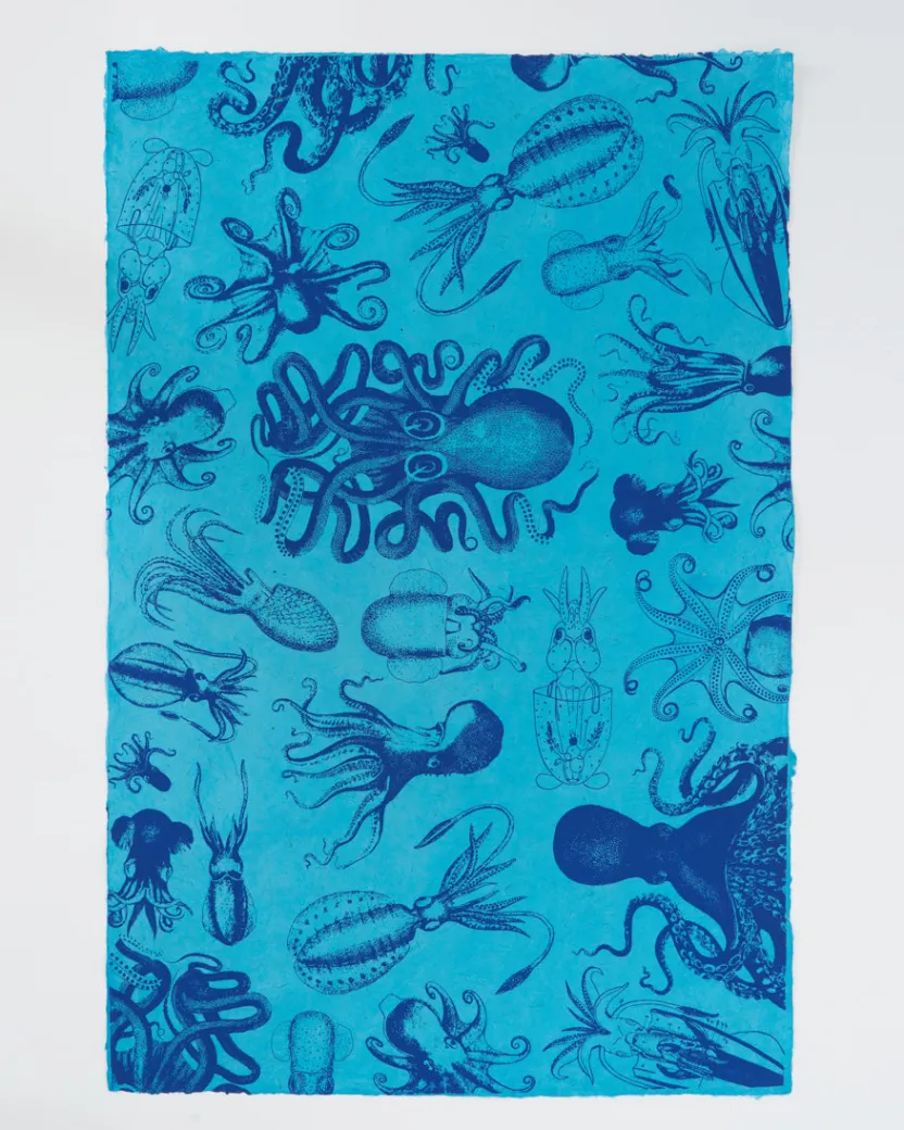 Cognitive Surplus Octopus & Squid Wrapping Paper* Wrapping Paper | Marine Biology