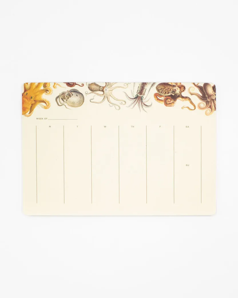 Cognitive Surplus Octopus Notepads - Cephalopod Market Pad | * Notepads | Ornithology