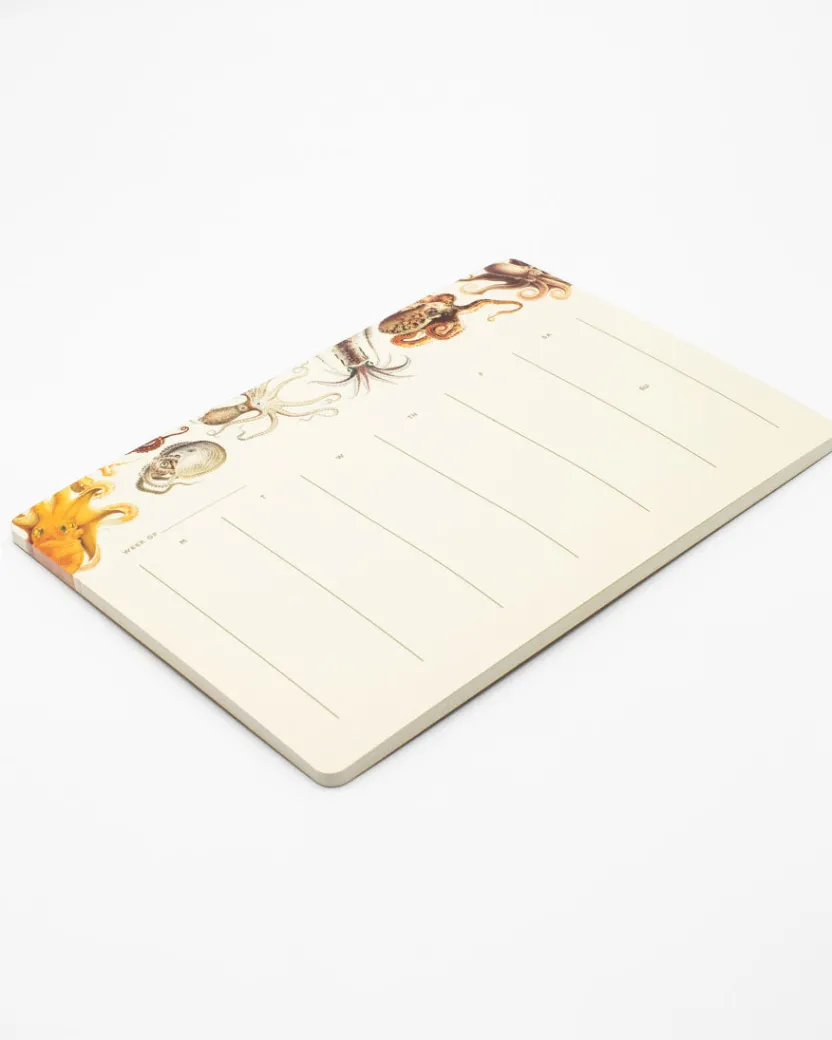 Cognitive Surplus Octopus Notepads - Cephalopod Market Pad | * Notepads | Ornithology