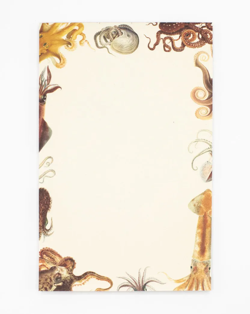 Cognitive Surplus Octopus Notepads - Cephalopod Market Pad | * Notepads | Ornithology