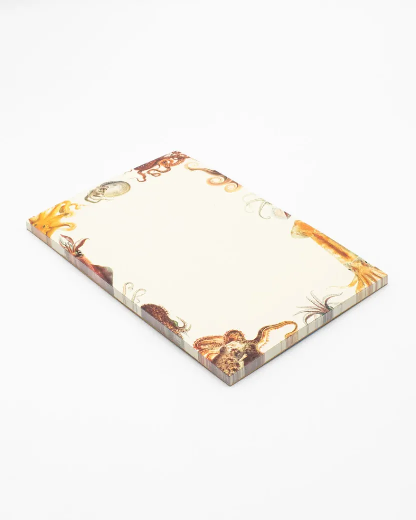 Cognitive Surplus Octopus Notepads - Cephalopod Market Pad | * Notepads | Ornithology