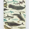 Cognitive Surplus Octopus Print Notebook - Hardcover | Marine Biology* The Hypothesis | Marine Biology