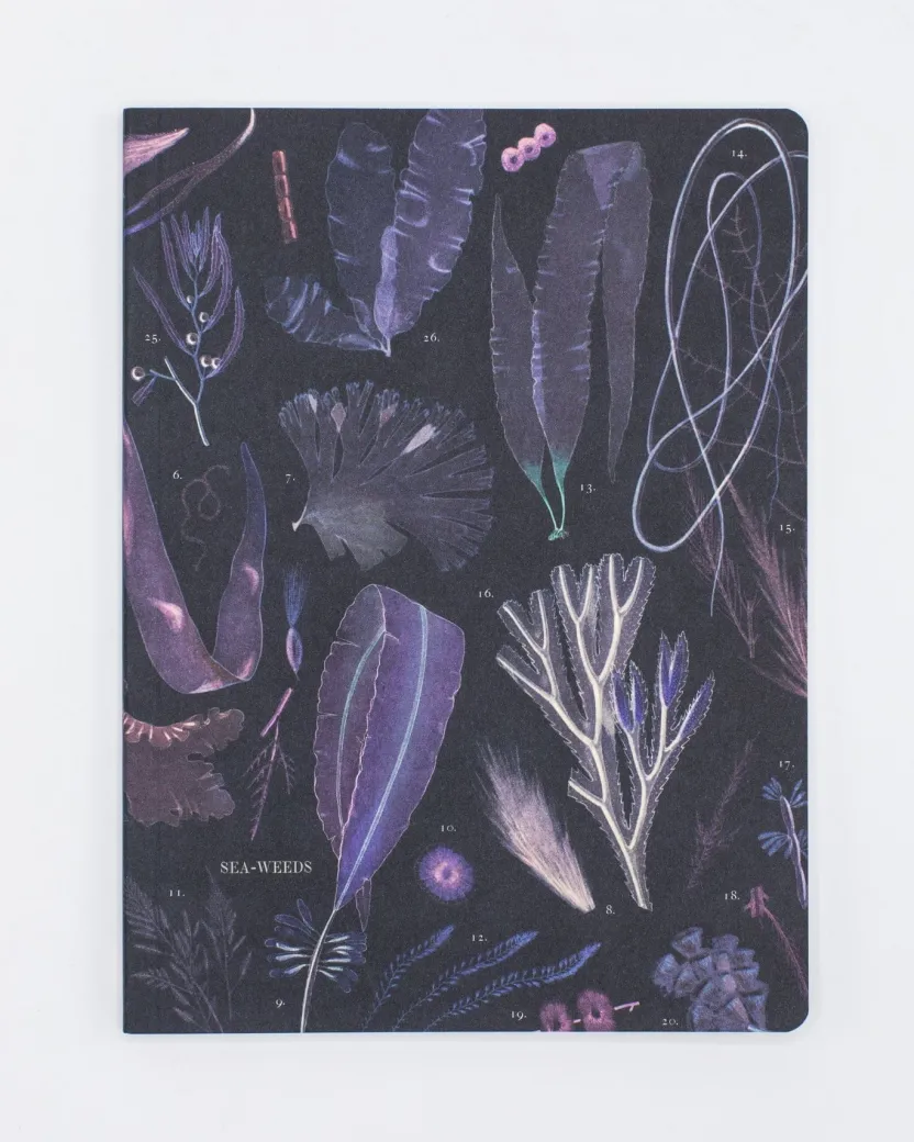 Cognitive Surplus Octopus Print Softcover Notebook | Recycled Notebook* The Experiment | Marine Biology