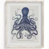 Cognitive Surplus Octopus Scientific Illustration Museum Print* Wall Art | Marine Biology