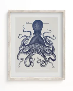 Cognitive Surplus Octopus Scientific Illustration Museum Print* Wall Art | Marine Biology
