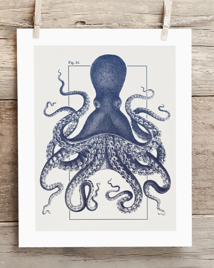 Cognitive Surplus Octopus Scientific Illustration Museum Print* Wall Art | Marine Biology