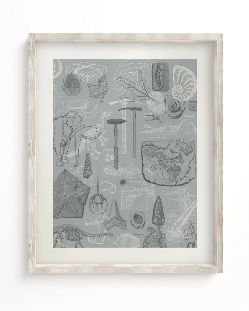 Cognitive Surplus Paleontology Scientific Illustration Museum Print* Wall Art | Paleontology