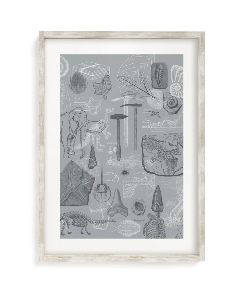 Cognitive Surplus Paleontology Scientific Illustration Museum Print* Wall Art | Paleontology