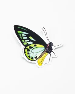 Cognitive Surplus Papilio Butterfly Sticker* Stickers | Entomology