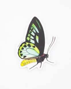 Cognitive Surplus Papilio Butterfly Sticker* Stickers | Entomology