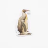 Cognitive Surplus Penguin Sticker* Stickers | Ornithology
