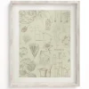 Cognitive Surplus Pharmacy Scientific Illustration Museum Print* Wall Art | Pharmacy