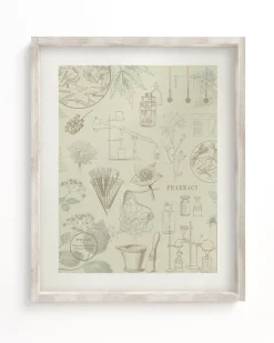 Cognitive Surplus Pharmacy Scientific Illustration Museum Print* Wall Art | Pharmacy