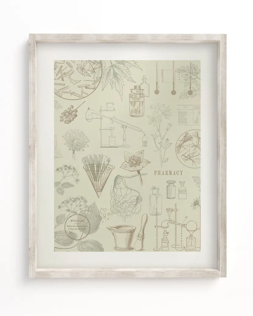 Cognitive Surplus Pharmacy Scientific Illustration Museum Print* Wall Art | Pharmacy